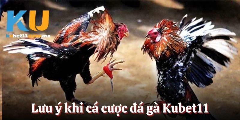 Lưu ý để trải nghiệm dịch vụ an toàn
