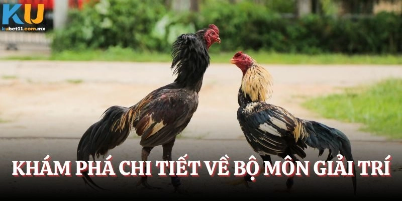 Khám phá chi tiết về bộ môn giải trí