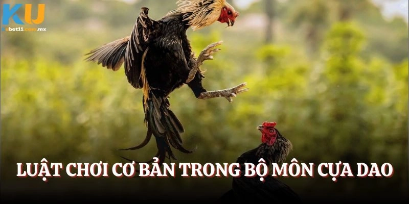 Luật chơi cơ bản trong bộ môn cựa dao