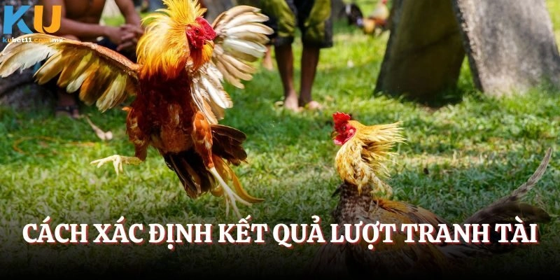 Cách xác định kết quả lượt tranh tài