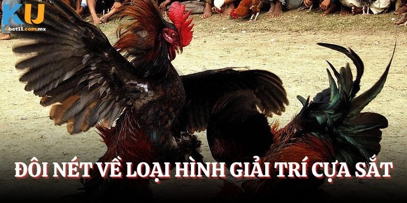 Đôi nét về loại hình giải trí