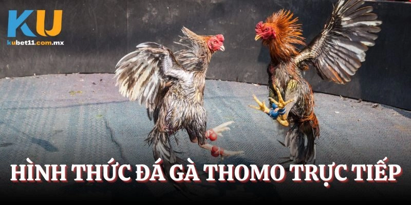 Những hình thức so tài
