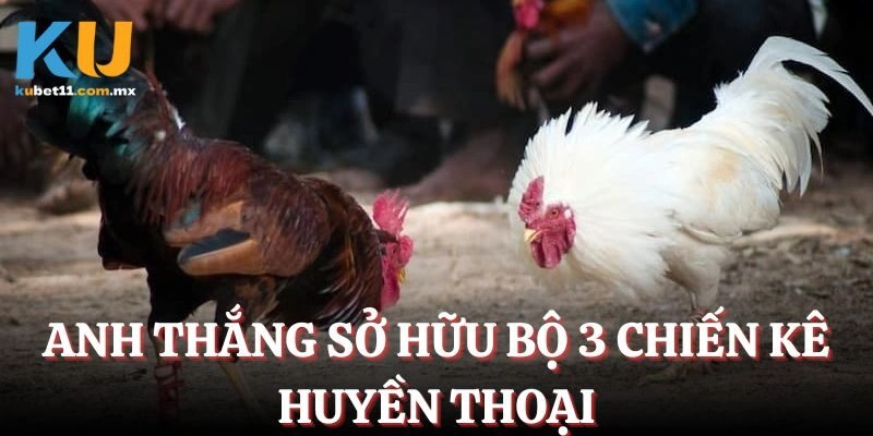Anh Thắng (Phú Thọ) là người sở hữu bộ 3 chiến kê huyền thoại