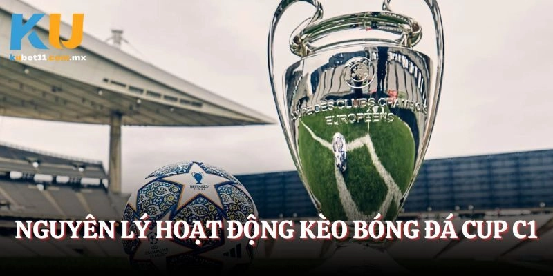 Nguyên lý hoạt động của kèo bóng đá Cup C1