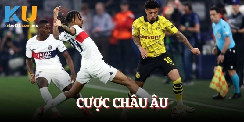 Cược châu Âu được mọi người thường xuyên tham gia