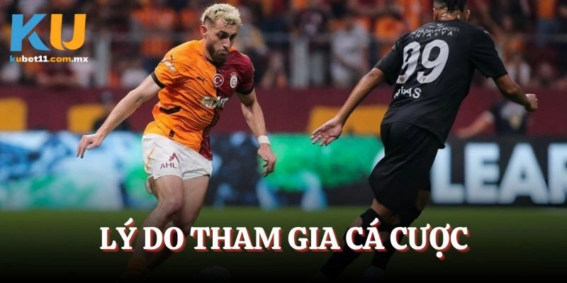 Lý do tham gia cá cược