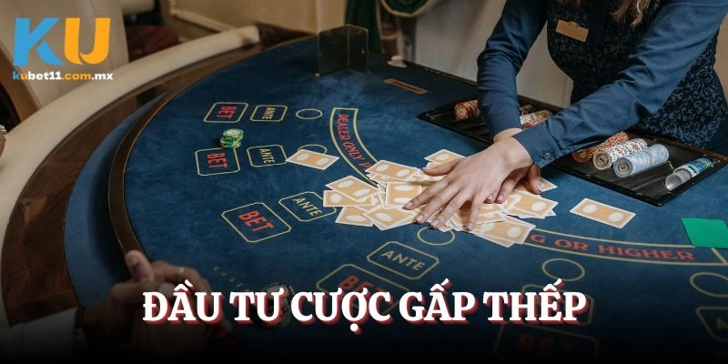 Đầu tư cược gấp thếp