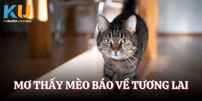 Mơ thấy mèo báo về tương lai