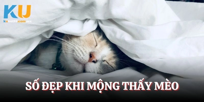 Các con số may mắn đáng để đầu tư